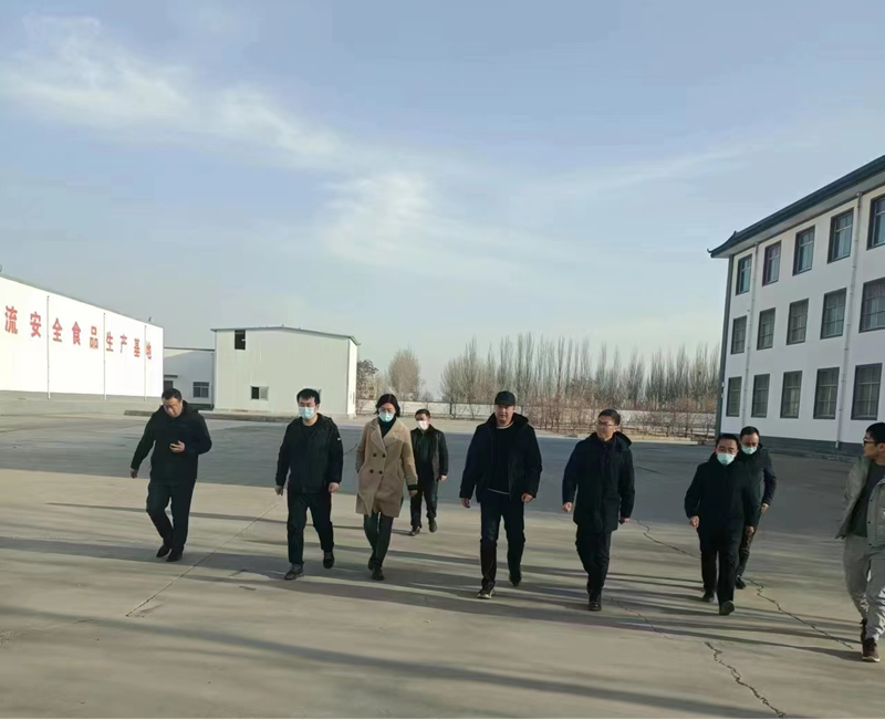 石嘴山市副市長(zhǎng)、惠農(nóng)區(qū)委書記王宇翔蒞臨寧夏興康恒潤(rùn)農(nóng)業(yè)科技發(fā)展有限公司調(diào)研